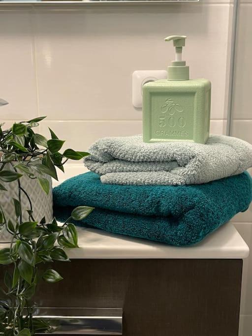 Appartement Familial 8 Personnes Proche De Disney Et Paris Chessy  Eksteriør bilde
